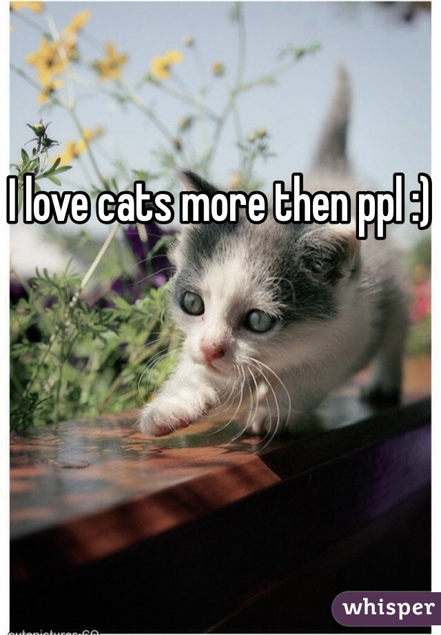 I love cats more then ppl :)
