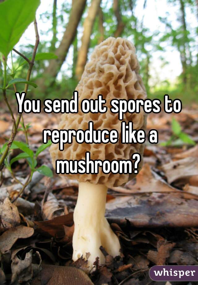 You send out spores to reproduce like a
 mushroom? 