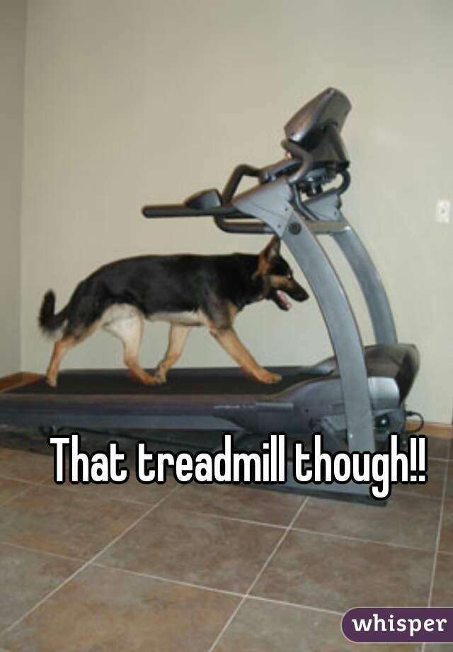 That treadmill though!!
