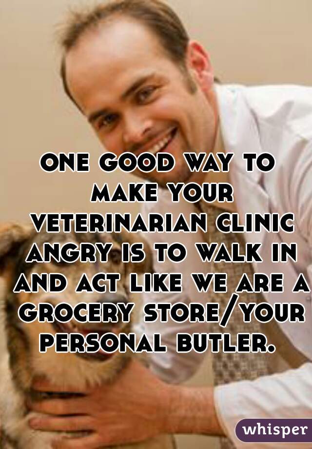 one good way to make your veterinarian clinic angry is to walk in and act like we are a grocery store/your personal butler. 