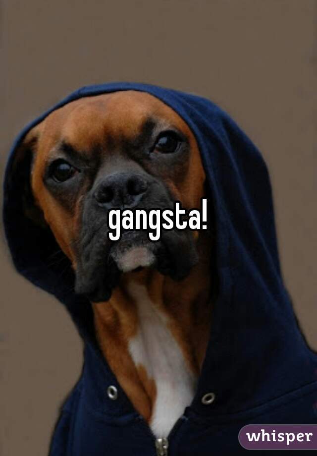 gangsta!