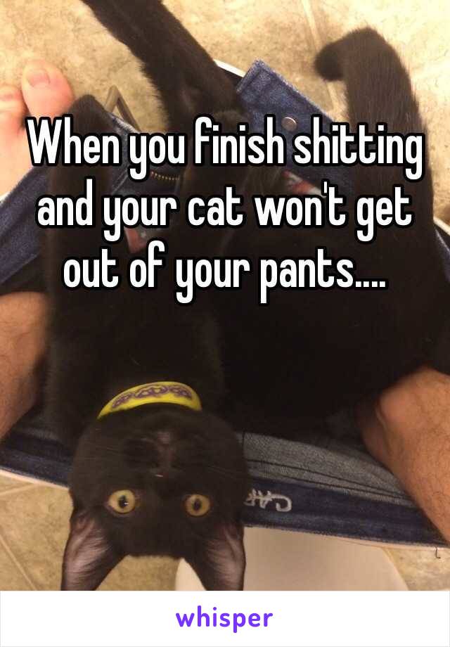 When you finish shitting and your cat won't get out of your pants.... 