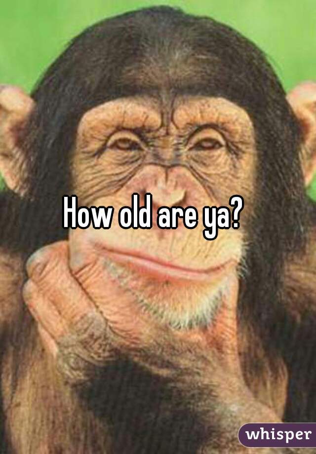 How old are ya? 