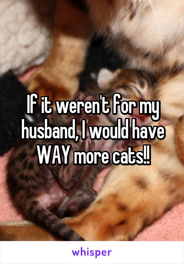 If it weren't for my husband, I would have WAY more cats!!