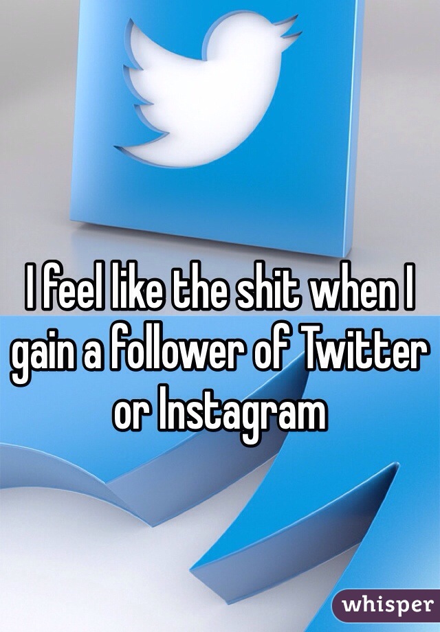 I feel like the shit when I gain a follower of Twitter or Instagram
