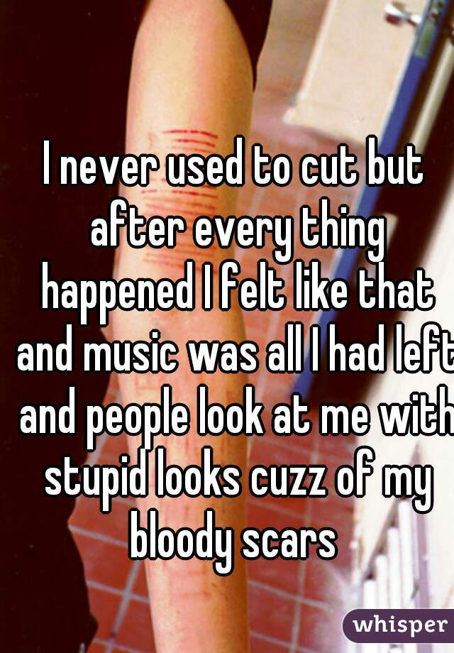 I never used to cut but after every thing happened I felt like that and music was all I had left and people look at me with stupid looks cuzz of my bloody scars 