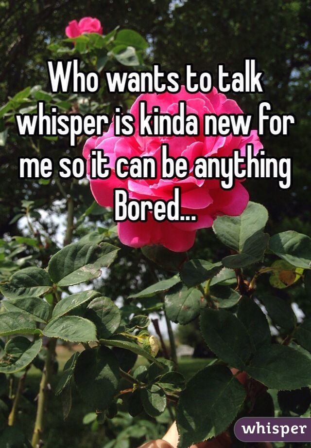 Who wants to talk whisper is kinda new for me so it can be anything
Bored...