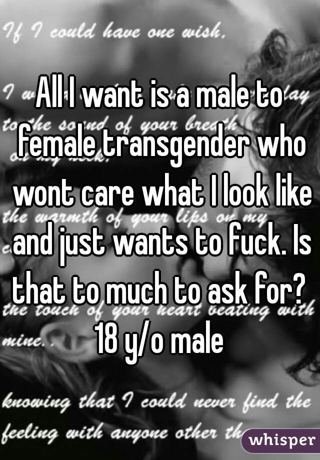 All I want is a male to female transgender who wont care what I look like and just wants to fuck. Is that to much to ask for?  18 y/o male 