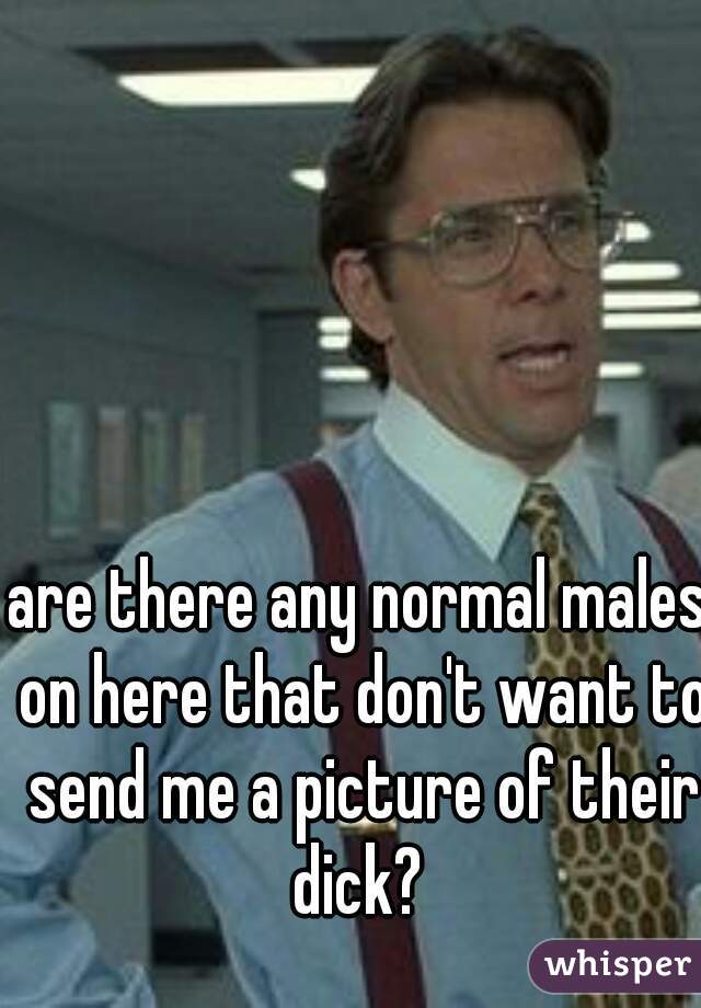 are there any normal males on here that don't want to send me a picture of their dick? 