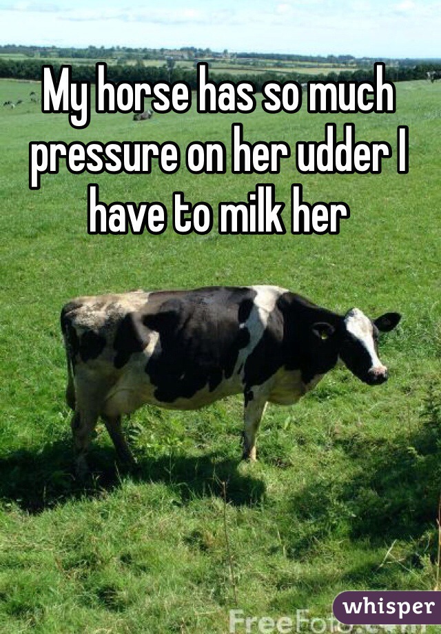 My horse has so much pressure on her udder I have to milk her 
