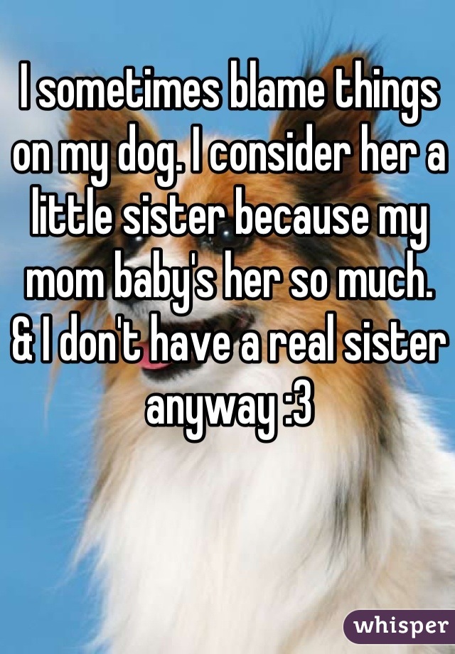 I sometimes blame things on my dog. I consider her a little sister because my mom baby's her so much. 
& I don't have a real sister anyway :3