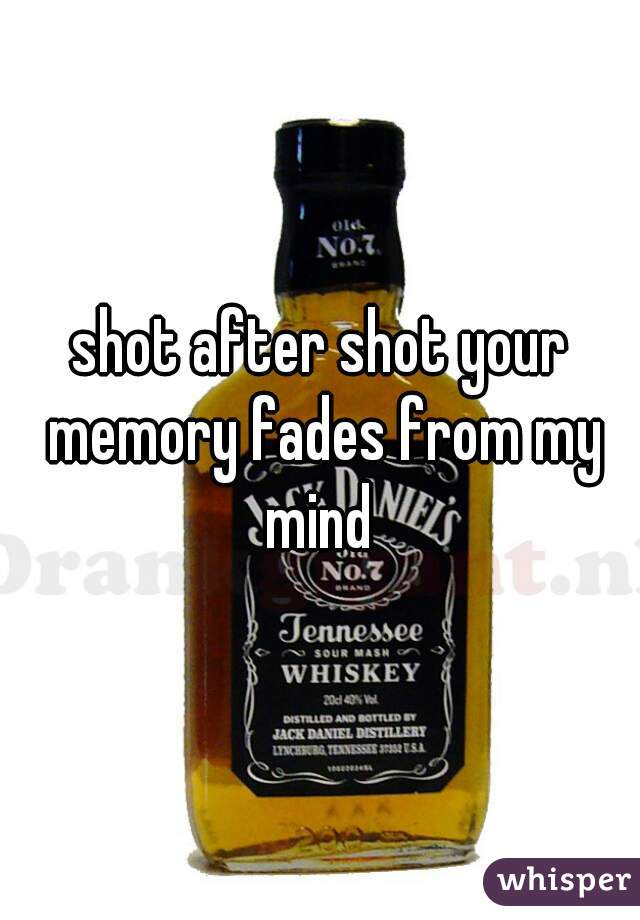 shot after shot your memory fades from my mind 