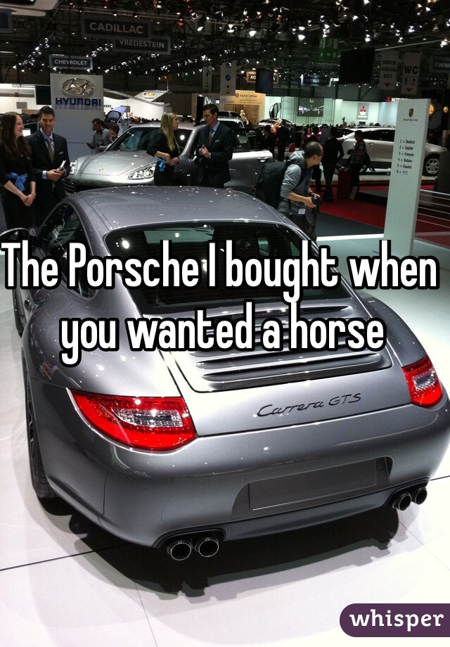 The Porsche I bought when you wanted a horse 