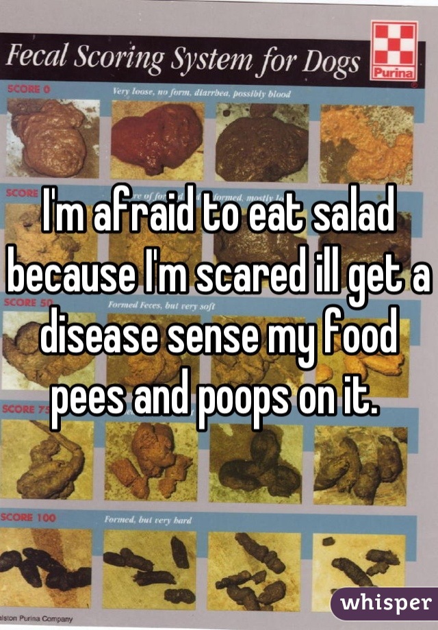 I'm afraid to eat salad because I'm scared ill get a disease sense my food pees and poops on it. 