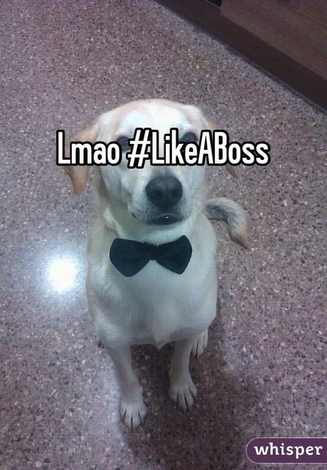 Lmao #LikeABoss