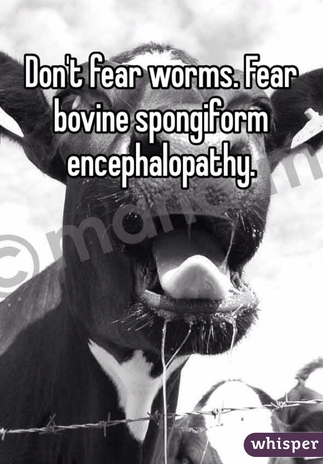 Don't fear worms. Fear bovine spongiform encephalopathy. 