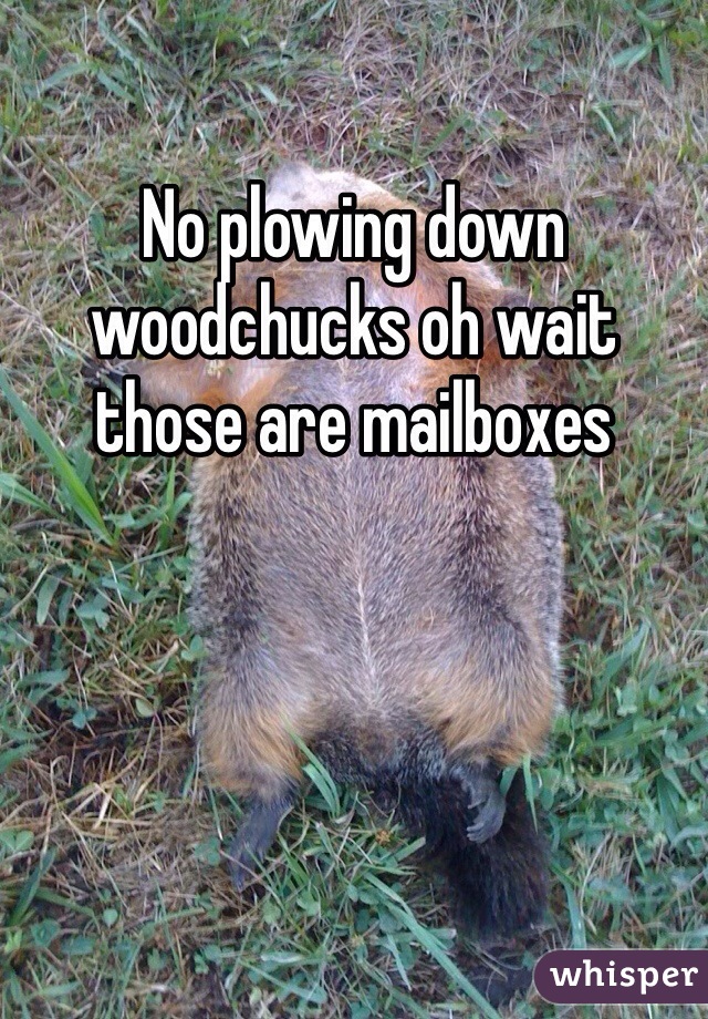 No plowing down woodchucks oh wait those are mailboxes 