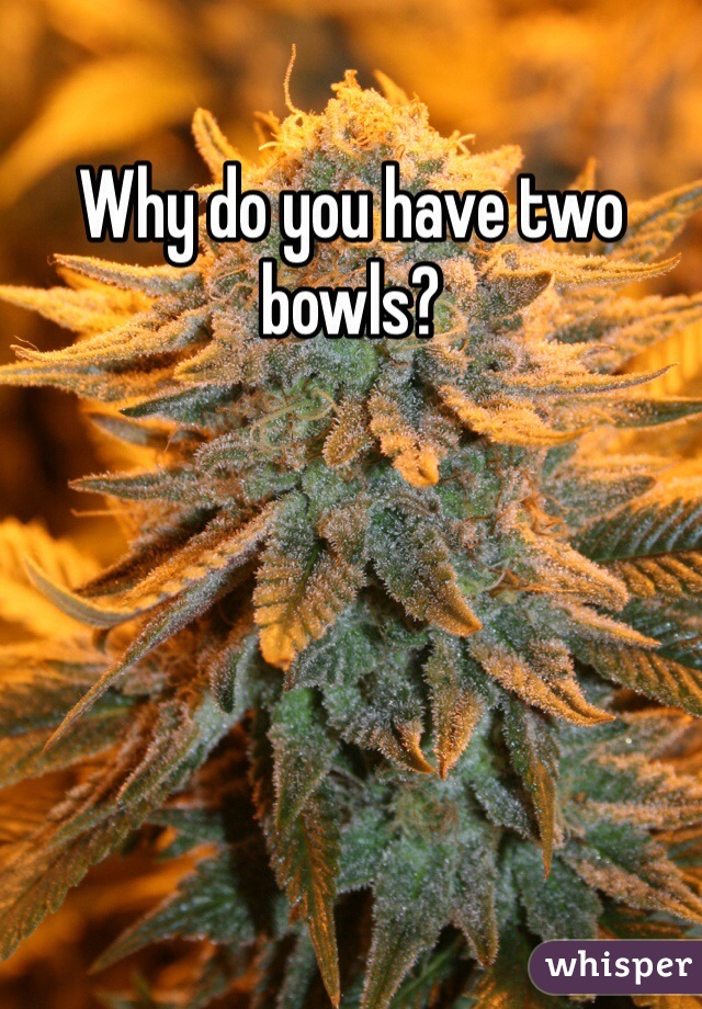 Why do you have two bowls?