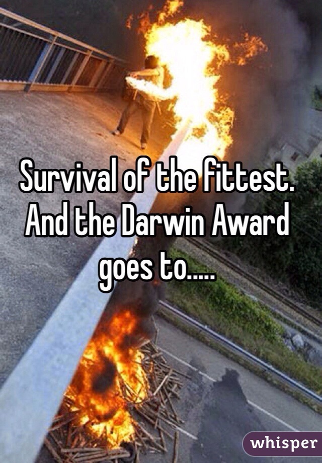 Survival of the fittest. And the Darwin Award goes to..... 