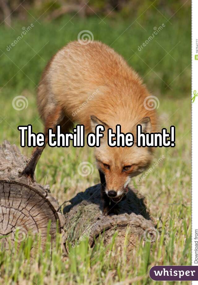 The thrill of the hunt! 