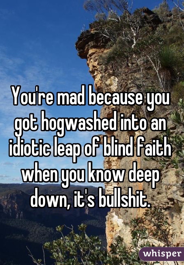 You're mad because you got hogwashed into an idiotic leap of blind faith when you know deep down, it's bullshit.