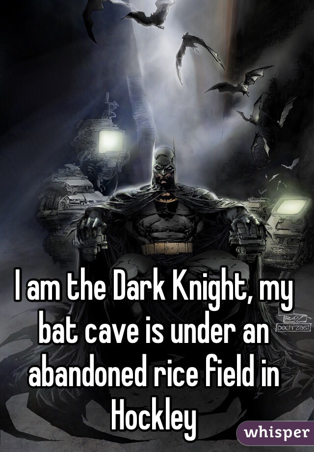 I am the Dark Knight, my bat cave is under an abandoned rice field in Hockley