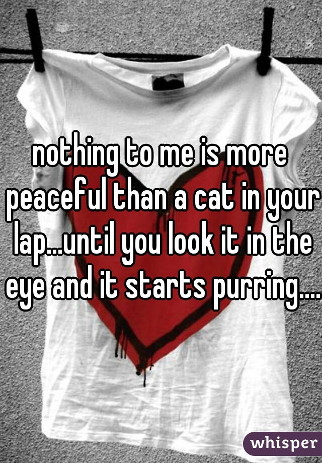 nothing to me is more peaceful than a cat in your lap...until you look it in the eye and it starts purring....