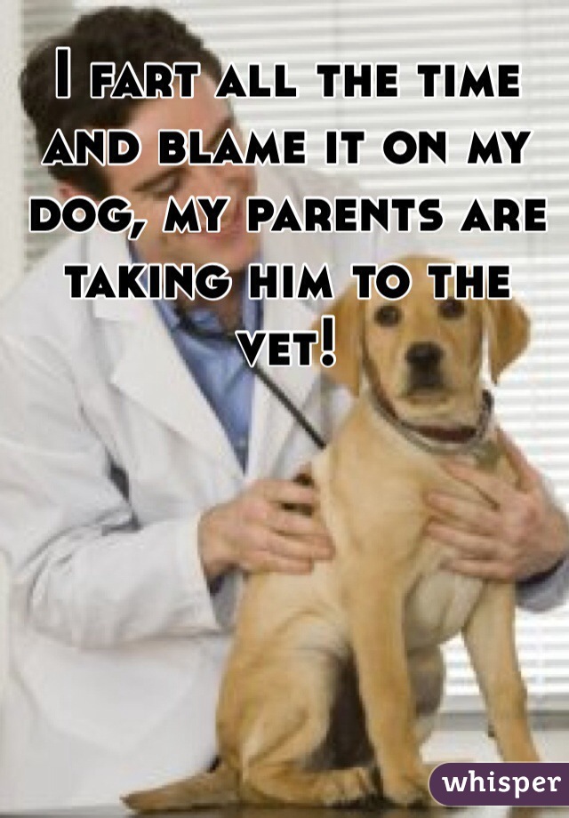 I fart all the time and blame it on my dog, my parents are taking him to the vet!