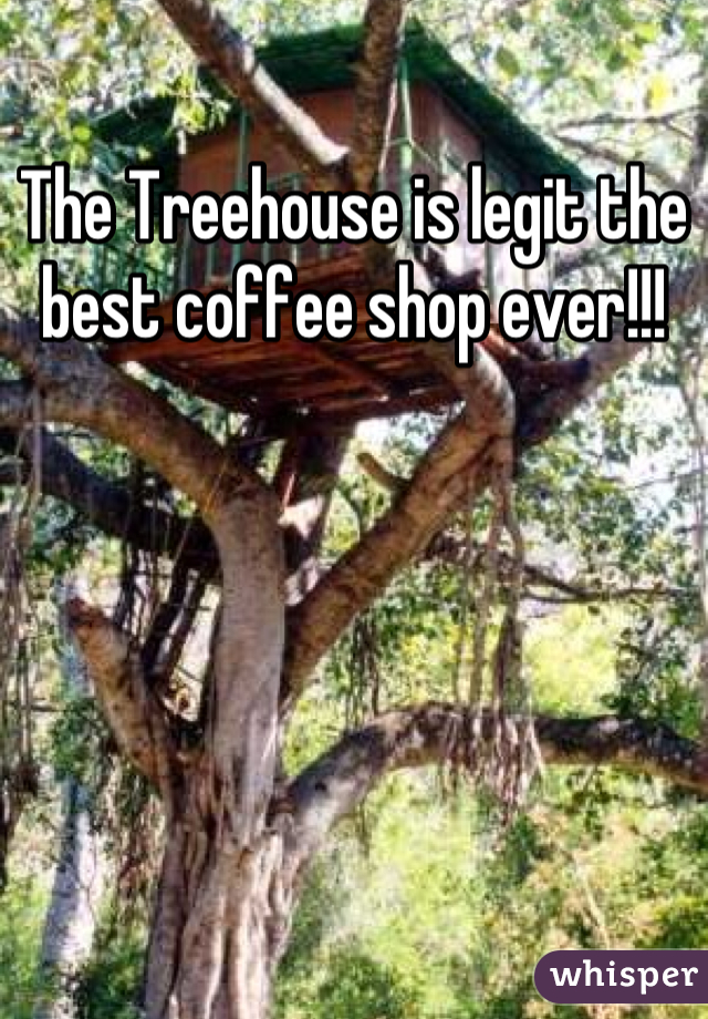 The Treehouse is legit the best coffee shop ever!!!