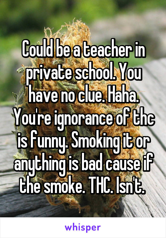 Could be a teacher in private school. You have no clue. Haha. You're ignorance of thc is funny. Smoking it or anything is bad cause if the smoke. THC. Isn't. 