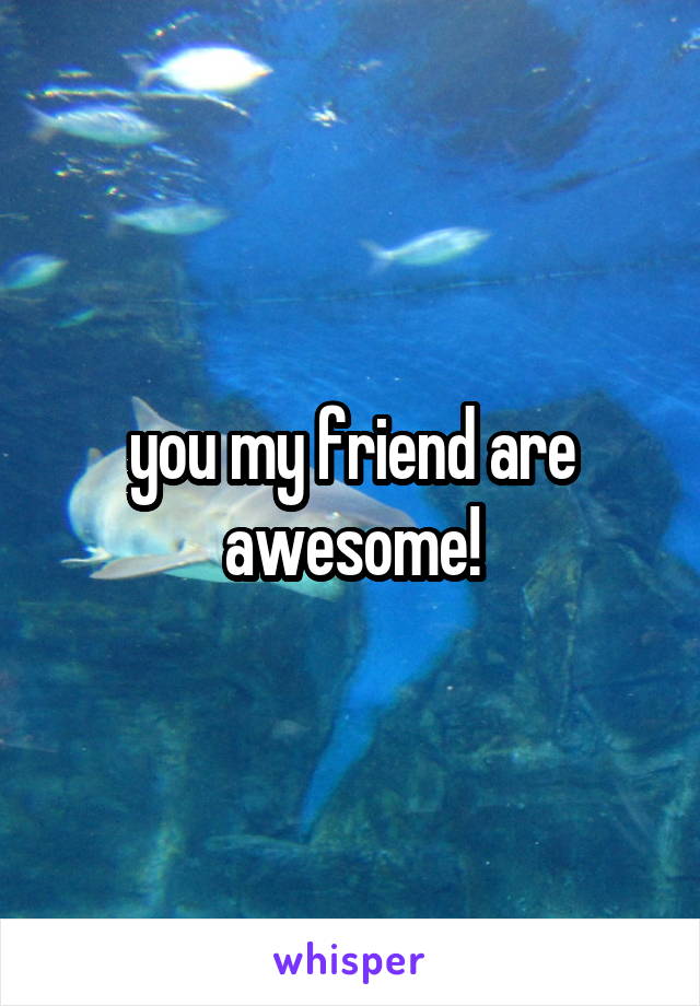 you my friend are awesome!