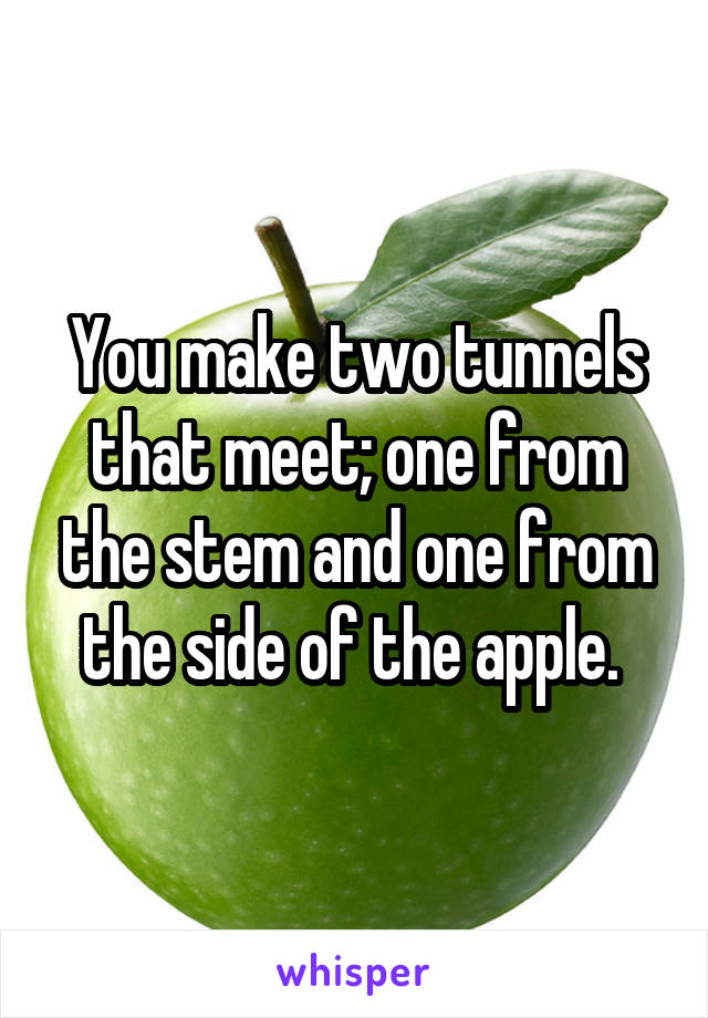 You make two tunnels that meet; one from the stem and one from the side of the apple. 