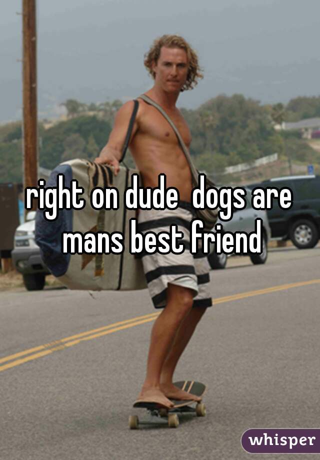 right on dude  dogs are mans best friend