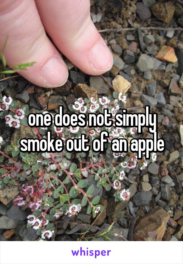 one does not simply smoke out of an apple