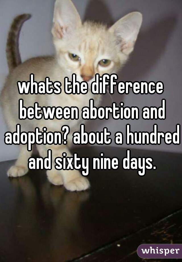 whats the difference between abortion and adoption? about a hundred and sixty nine days.