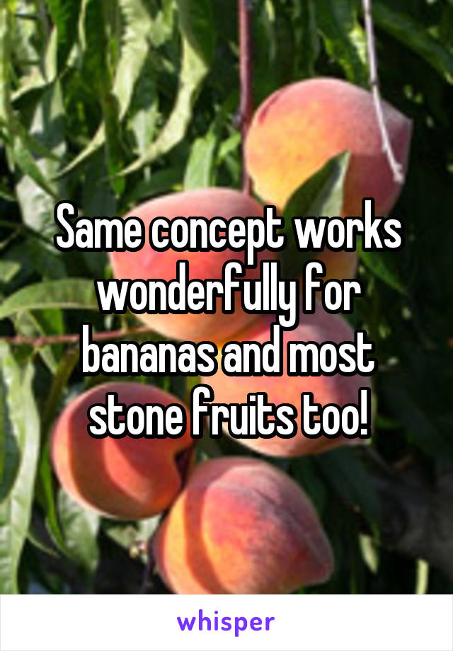 Same concept works wonderfully for bananas and most stone fruits too!
