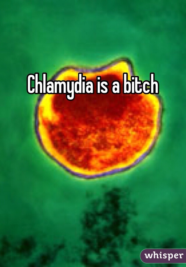 Chlamydia is a bitch