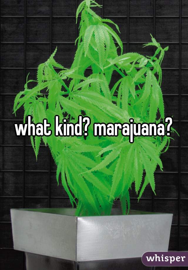 what kind? marajuana?