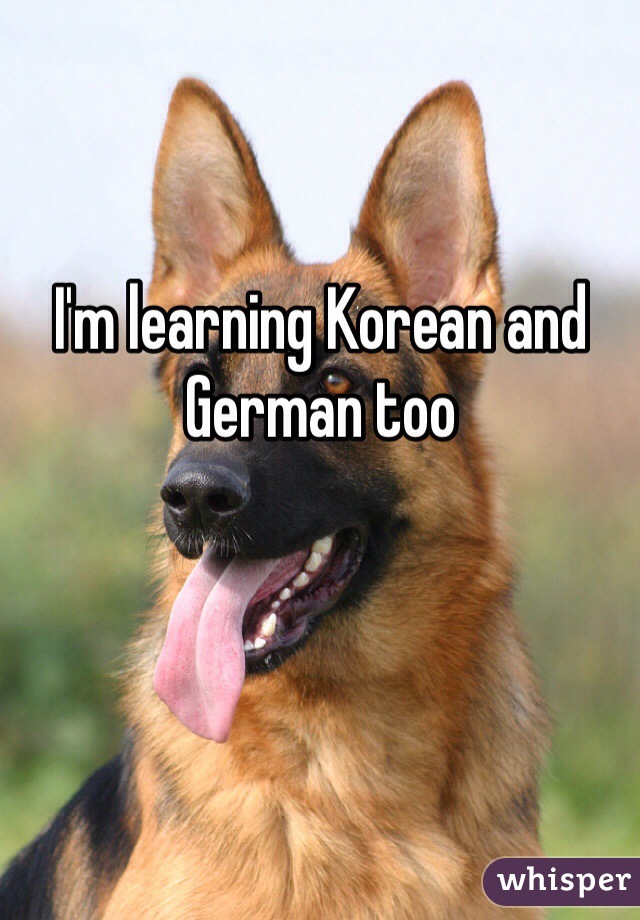 I'm learning Korean and German too
