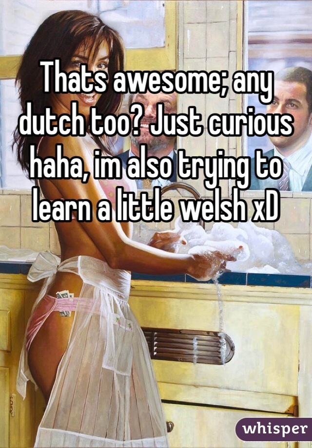 Thats awesome; any dutch too? Just curious haha, im also trying to learn a little welsh xD