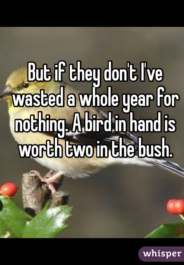 But if they don't I've wasted a whole year for nothing. A bird in hand is worth two in the bush. 