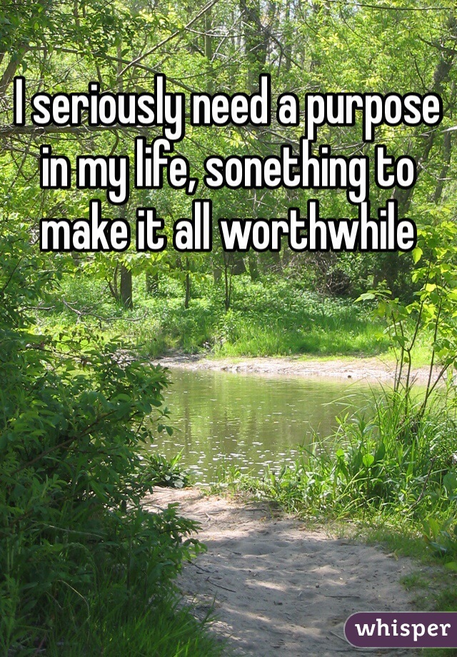 I seriously need a purpose in my life, sonething to make it all worthwhile