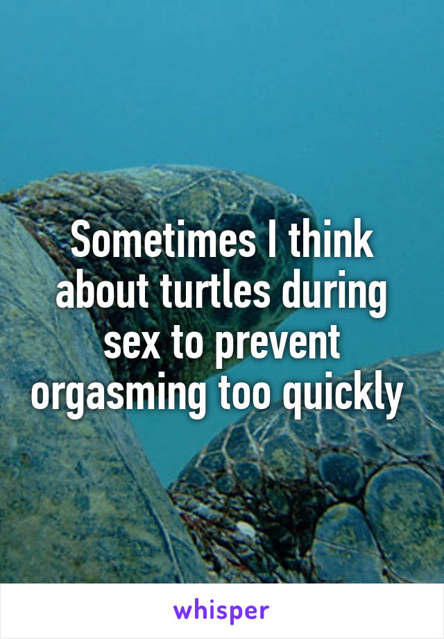 Sometimes I think about turtles during sex to prevent orgasming too quickly 