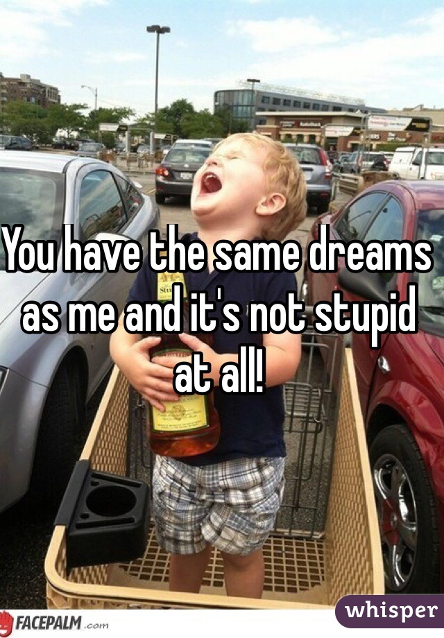You have the same dreams as me and it's not stupid at all!