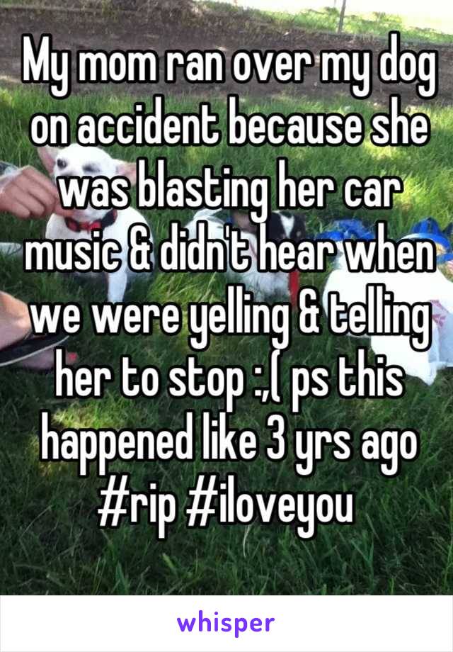My mom ran over my dog on accident because she was blasting her car music & didn't hear when we were yelling & telling her to stop :,( ps this happened like 3 yrs ago #rip #iloveyou 