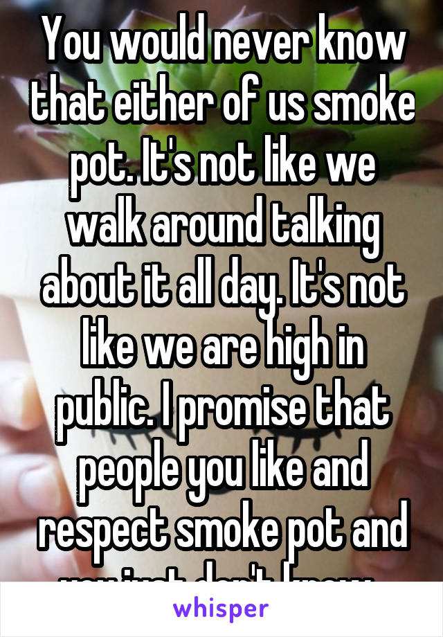 You would never know that either of us smoke pot. It's not like we walk around talking about it all day. It's not like we are high in public. I promise that people you like and respect smoke pot and you just don't know. 