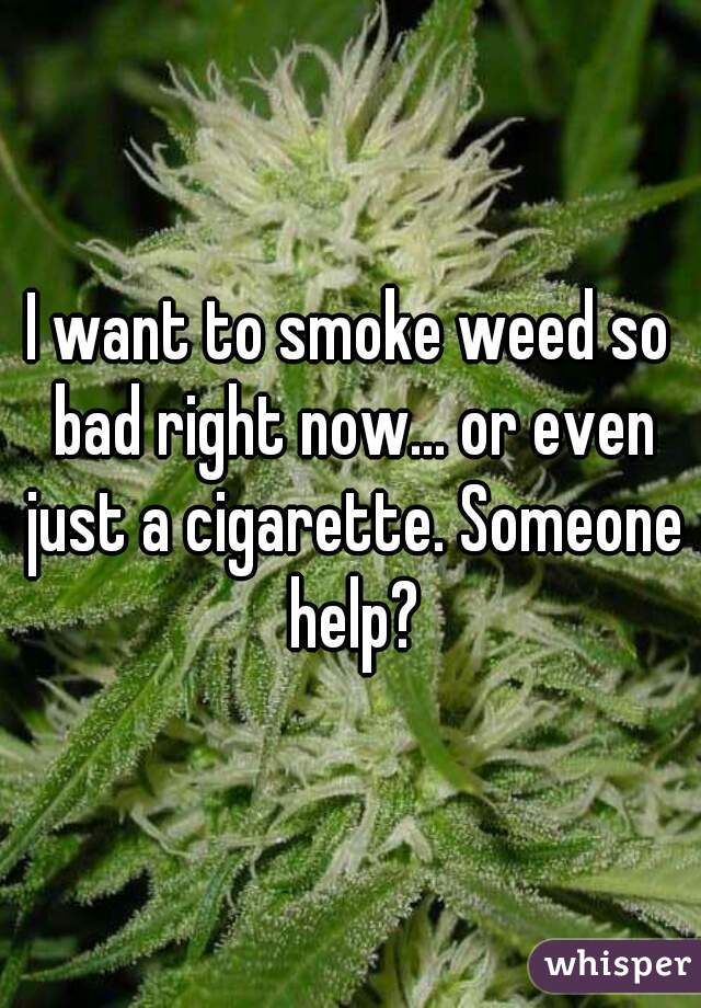I want to smoke weed so bad right now... or even just a cigarette. Someone help?