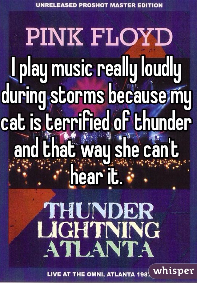 I play music really loudly during storms because my cat is terrified of thunder and that way she can't hear it. 