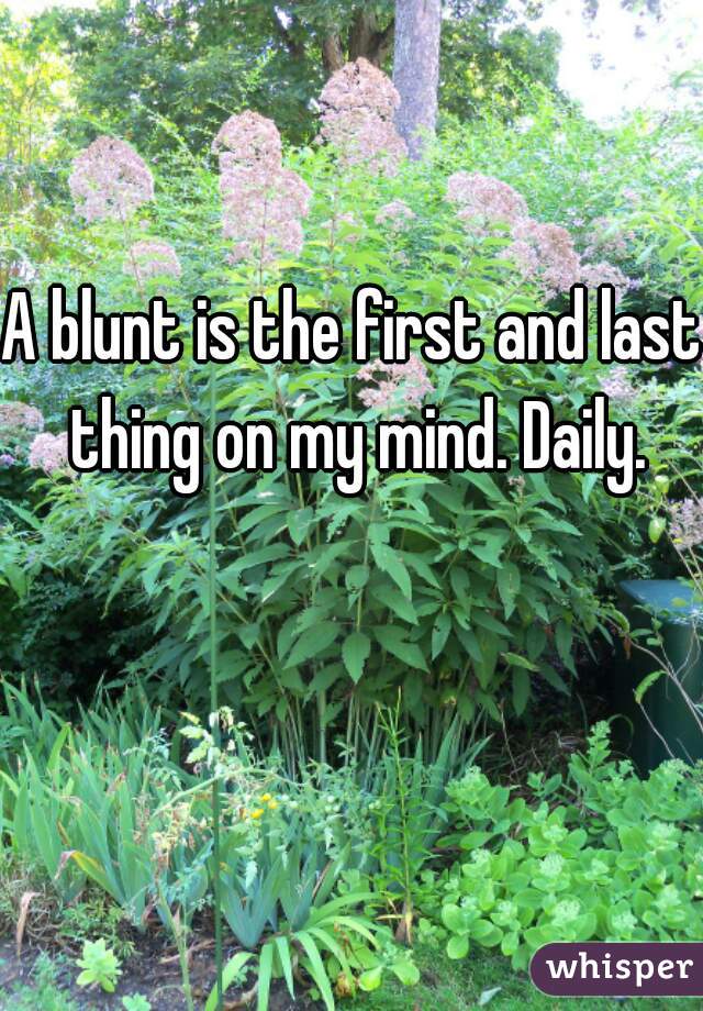 A blunt is the first and last thing on my mind. Daily.