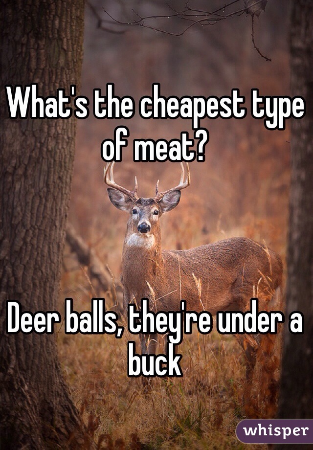 What's the cheapest type of meat? 



Deer balls, they're under a buck 